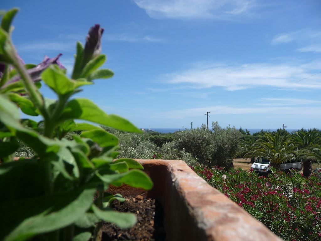 Masseria Serine Santa Maria di Leuca Exterior photo